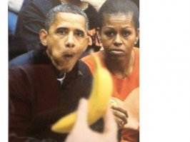 А по мне, так вот лучшая фотка с животными на все времена