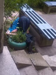 Согласна. Вот так по - трезвому не заснешь