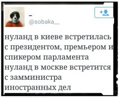 Солянка для Майдана. Часть 97