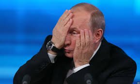 25 самых необычных чехлов для смартфона 