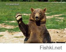 9 мая, родной Белгород. На первой, вдалеке флаг ДНР.
Последние две от себя.