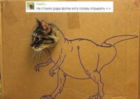 Смешные комментарии из социальных сетей 12.01.15