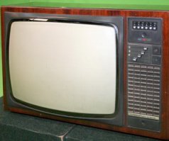 у нас был славутич. 78 года. звук был басовитый. потом мы поставили декодер, смотрели видик во всех цветах