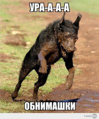 Фотоподборка дня