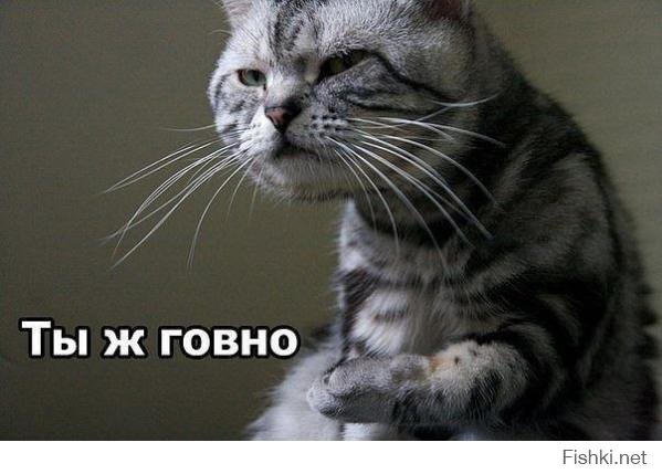 Трагедия Углегорска: исход из «города мертвых»