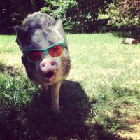 Борис Гребенщиков