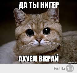 Госсекретарь США пугает России так, что Европа седеет от ужаса