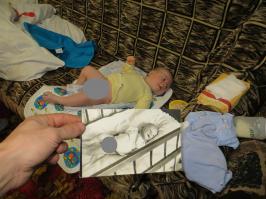 Copy Paste или Мой ребенок - моя копия.