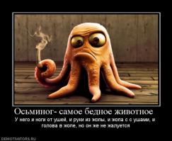  Заехали в магазин "Все для дома"