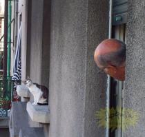 20 веселых гиф про животных и млекопитающих