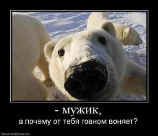 Крупным планом