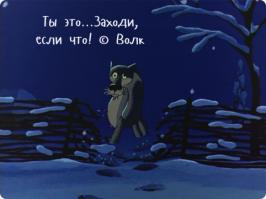 Наши любимые цитаты