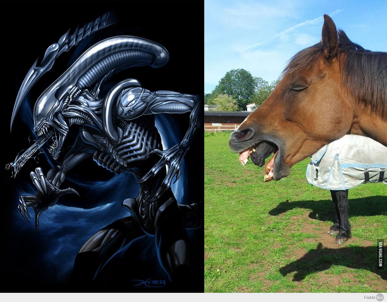 На каком коне похож. Инопланетная лошадь. Человек похожий на коня. Чужая лошадка. Славянские животные похожие на лошадей.