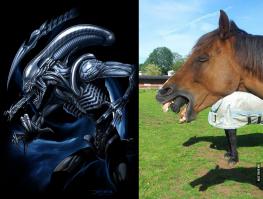 ЧУЖАЯ ЛОШАДЬ...)))