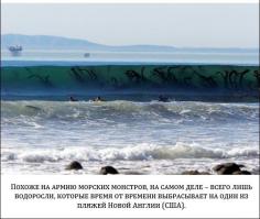 Чуть не обосрался.... это же 3.14ец страшно...