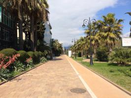 мну тоже в Сочинсг-Сити живет :)