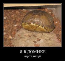 С пятницей, какбЭ...