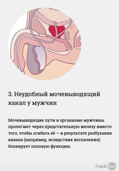 Инженерные ошибки человеческого организма.