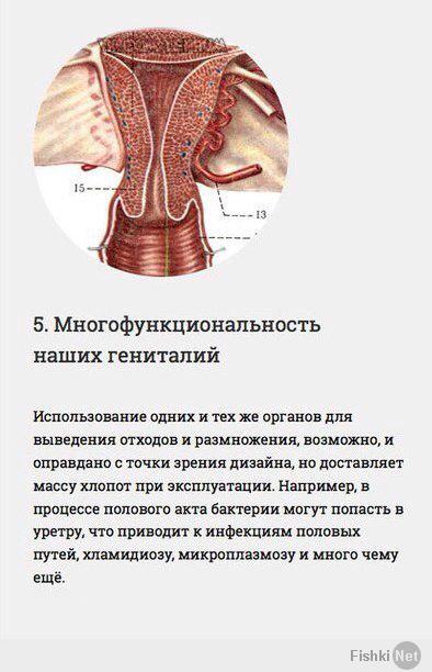 Инженерные ошибки человеческого организма.