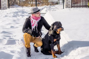 Ротвейлер скорбит по своему брату