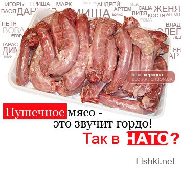 дарю цветы укроповской нации, ( из тех кто море копали)