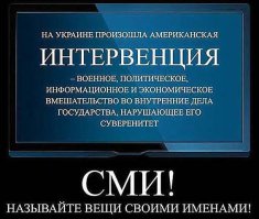 Мы берём своё интервью у овцы из группы поддержки 14-го стада: