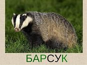 Не похоже