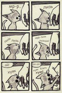 Все так делают с котиками