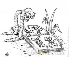 Фишкина солянка за 02.09.2014