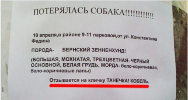 Фишкина солянка за 16.11.2014