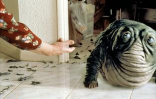 А вдруг  как тут, помните ?