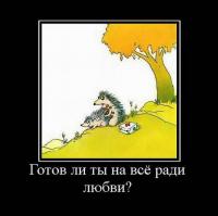 Отношения
