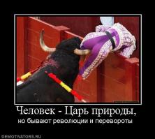 Коррида в гифках