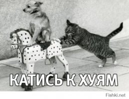 Настоящий Боевой Командир