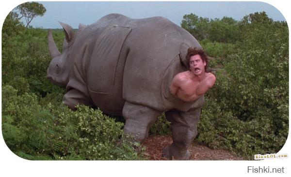 Так близко к животным вы ещё не подбирались никогда