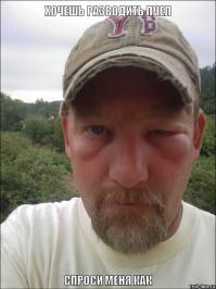 Случайно обнаружив рой, мужчина занялся пчеловодством 