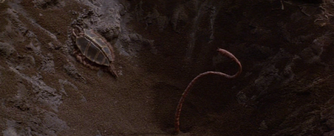 сразу вспомнил фильм "враг мой" как они против метеоритного дождя халабуду построили из панцырей какихто гадов.