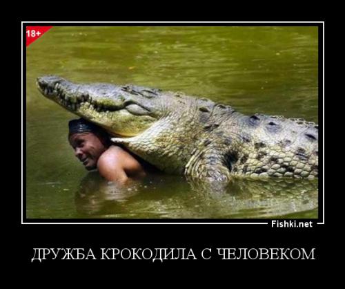 Дружба человека с крокодилом