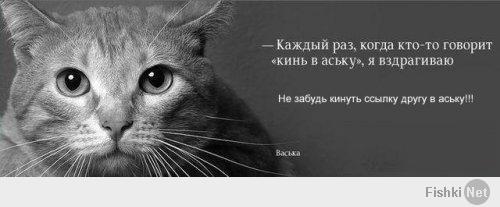 Маша против интернета 