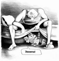 Чоткий кот  - старший по туалету