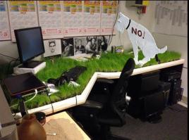 Оригинальный рабочий стол