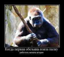 Обезьяны эволюционируют в людей прямо сейчас