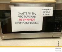 25 смешных микроволновых бедствий 