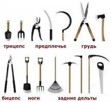 20 дешевых и простых хитростей, которые должен знать каждый садовод