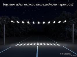 Нестандартные креативные зебры со всего света