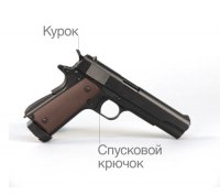 Лучшая половина российской полиции