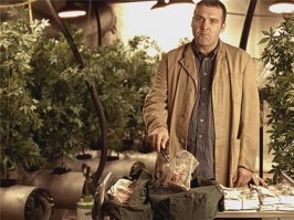 Зелень на балконе