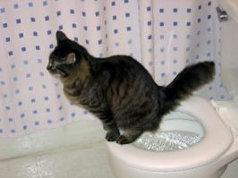 А тут неждан в виде клизмы )