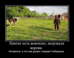 Смешные комментарии из социальных сетей 09.09.14