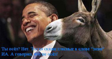 Ослики в нашей жизни